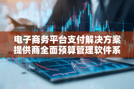 电子商务平台支付解决方案提供商全面预算管理软件系统：让您的企业财务更智能化
