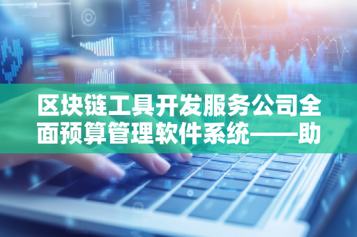 区块链工具开发服务公司全面预算管理软件系统——助力企业智能化预算管理