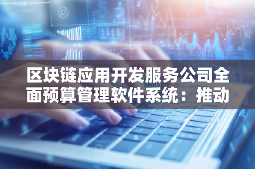 区块链应用开发服务公司全面预算管理软件系统：推动企业智能化管理的未来