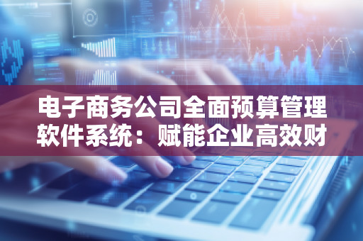 电子商务公司全面预算管理软件系统：赋能企业高效财务管理