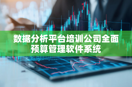 数据分析平台培训公司全面预算管理软件系统