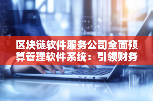 区块链软件服务公司全面预算管理软件系统：***财务管理的新纪元