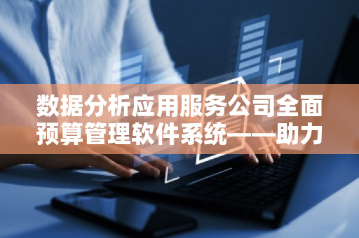 数据分析应用服务公司全面预算管理软件系统——助力企业精准决策与高效管理