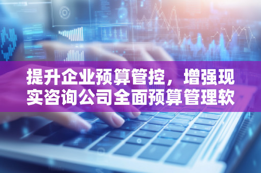 提升企业预算管控，增强现实咨询公司全面预算管理软件系统的创新之道