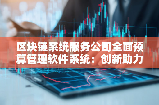 区块链系统服务公司全面预算管理软件系统：创新助力企业财务管理升级