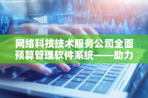 网络科技技术服务公司全面预算管理软件系统——助力企业提升财务管理效率