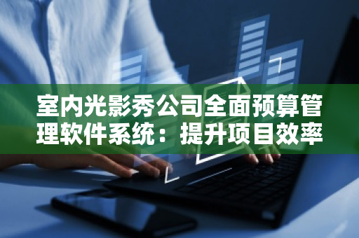 室内光影秀公司全面预算管理软件系统：提升项目效率，助力企业发展