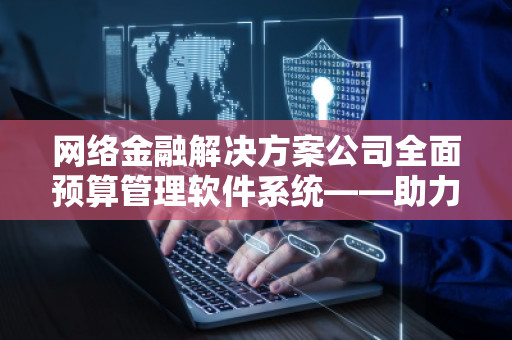 网络金融解决方案公司全面预算管理软件系统——助力企业实现高效财务管控