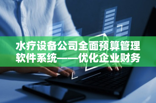 水疗设备公司全面预算管理软件系统——优化企业财务决策，提升管理效能