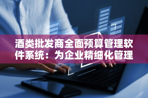 酒类批发商全面预算管理软件系统：为企业精细化管理注入新动力