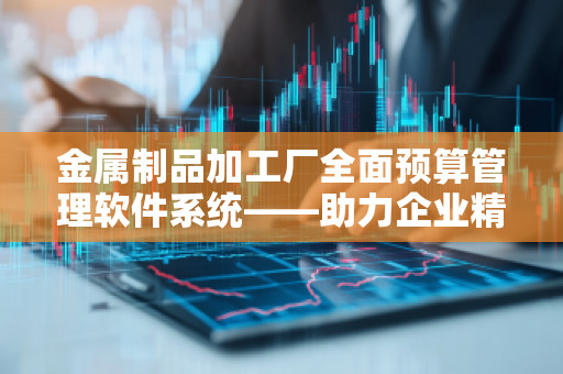 金属制品加工厂全面预算管理软件系统——助力企业精细化管理与高效运营