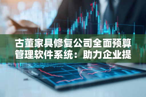 古董家具修复公司全面预算管理软件系统：助力企业提升管理效率，降低运营成本