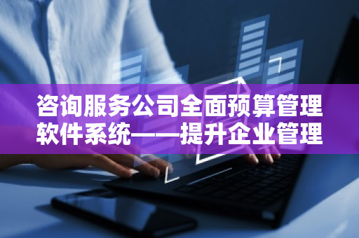 咨询服务公司全面预算管理软件系统——提升企业管理效率的智能助手