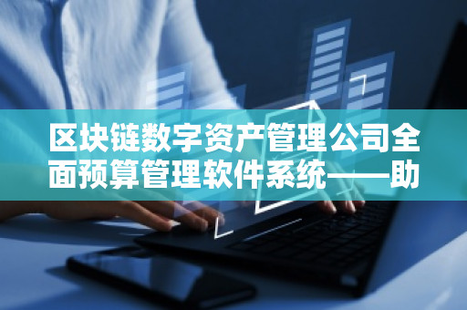 区块链数字资产管理公司全面预算管理软件系统——助力企业财务数字化转型