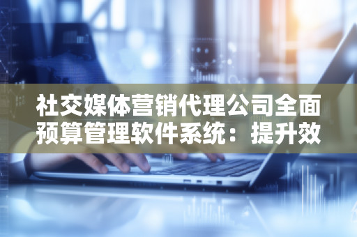 社交媒体营销代理公司全面预算管理软件系统：提升效益，打造高效运营