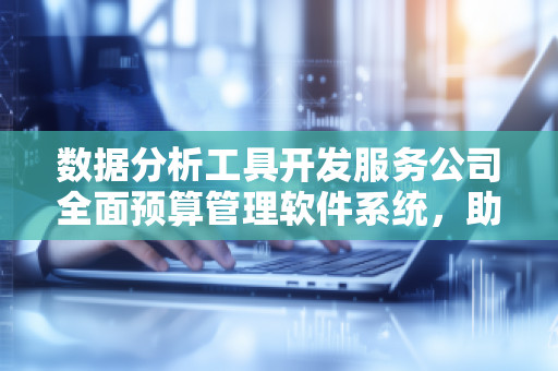 数据分析工具开发服务公司全面预算管理软件系统，助力企业高效预算控制
