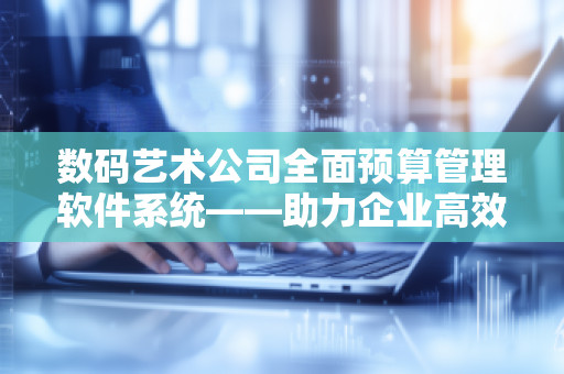 数码艺术公司全面预算管理软件系统——助力企业高效精细化管理