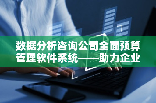 数据分析咨询公司全面预算管理软件系统——助力企业实现财务精细化管理