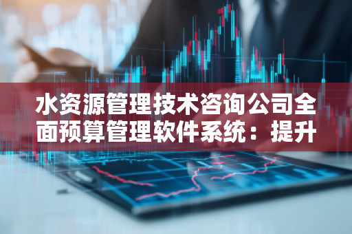 水资源管理技术咨询公司全面预算管理软件系统：提升决策效率与精准管理