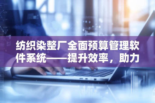 纺织染整厂全面预算管理软件系统——提升效率，助力企业腾飞