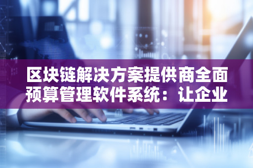 区块链解决方案提供商全面预算管理软件系统：让企业财务管理更高效、更安全