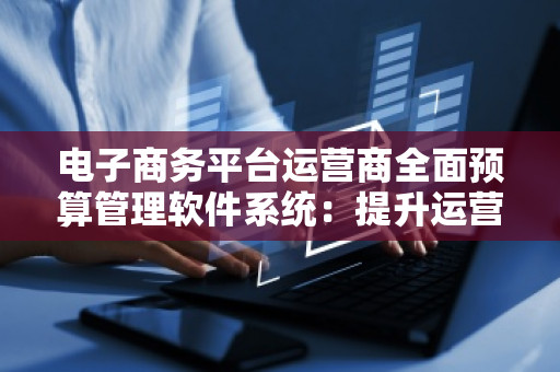 电子商务平台运营商全面预算管理软件系统：提升运营效益与决策精准度的关键工具