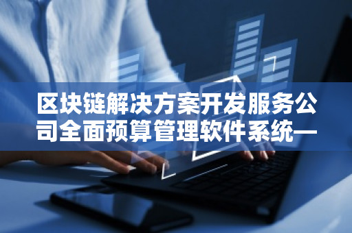 区块链解决方案开发服务公司全面预算管理软件系统——企业高效财务管理的新未来