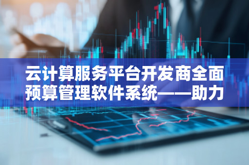 云计算服务平台开发商全面预算管理软件系统——助力企业财务精细化管理