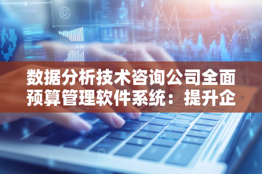 数据分析技术咨询公司全面预算管理软件系统：提升企业财务管控的利器