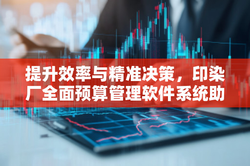 提升效率与精准决策，印染厂全面预算管理软件系统助力企业未来发展