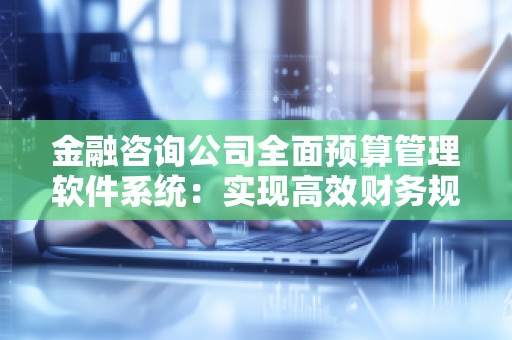 金融咨询公司全面预算管理软件系统：实现高效财务规划与智能决策
