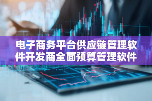 电子商务平台供应链管理软件开发商全面预算管理软件系统