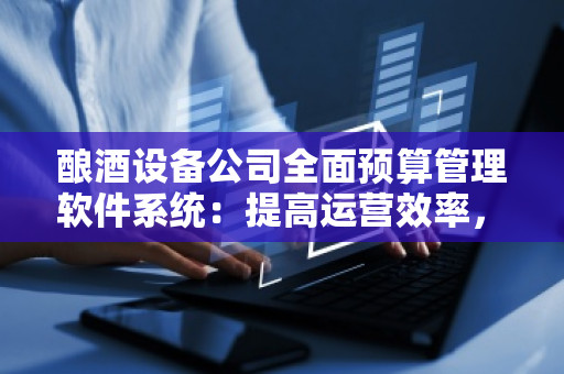 酿酒设备公司全面预算管理软件系统：提高运营效率，助力精细化管理