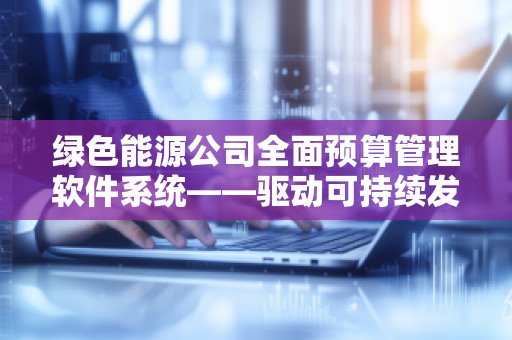 绿色能源公司全面预算管理软件系统——驱动可持续发展的数字化转型