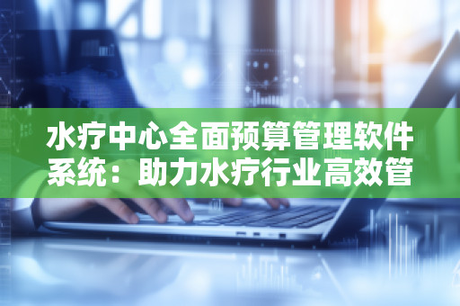 水疗中心全面预算管理软件系统：助力水疗行业高效管理、提升盈利