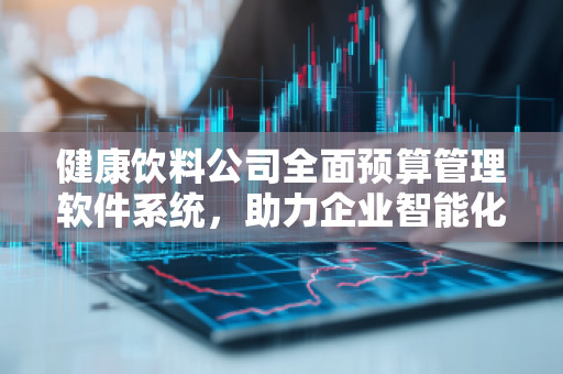 健康饮料公司全面预算管理软件系统，助力企业智能化决策