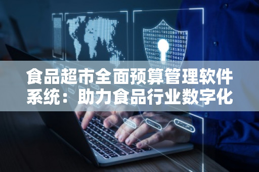 食品超市全面预算管理软件系统：助力食品行业数字化转型，提升运营效率