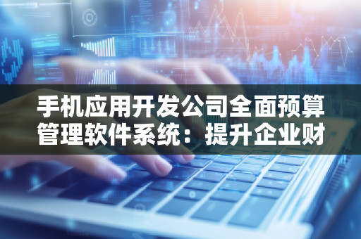 手机应用开发公司全面预算管理软件系统：提升企业财务管控效率的新利器