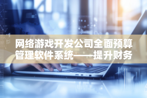 网络游戏开发公司全面预算管理软件系统——提升财务管理效率，助力企业增长