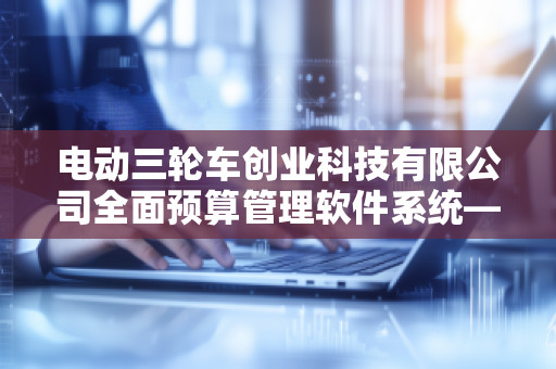 电动三轮车创业科技有限公司全面预算管理软件系统——助力企业高效管理，创新发展