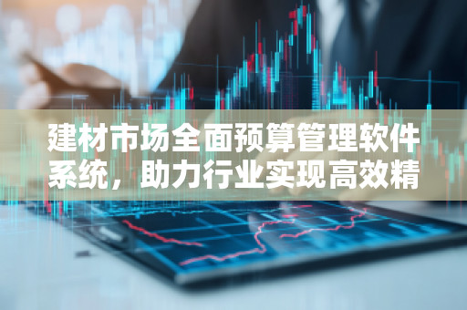 建材市场全面预算管理软件系统，助力行业实现高效精细化管理