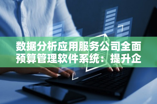 数据分析应用服务公司全面预算管理软件系统：提升企业财务管理的必备利器