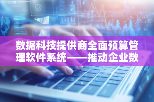 数据科技提供商全面预算管理软件系统——推动企业数字化转型的必备工具