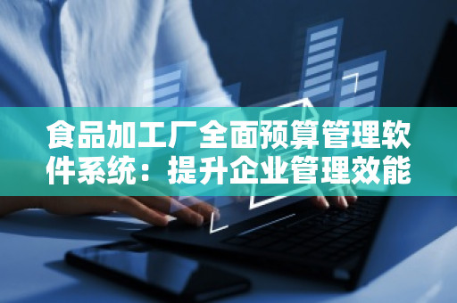 食品加工厂全面预算管理软件系统：提升企业管理效能的利器