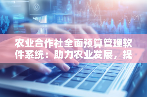 农业合作社全面预算管理软件系统：助力农业发展，提升管理效能