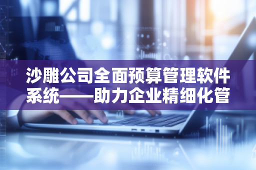 沙雕公司全面预算管理软件系统——助力企业精细化管理，开启财务新篇章