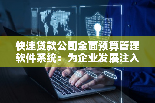 快速贷款公司全面预算管理软件系统:为企业发展注入“加速器”