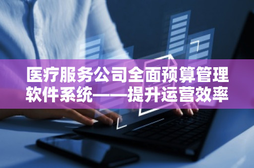 医疗服务公司全面预算管理软件系统——提升运营效率，实现财务精细化管理