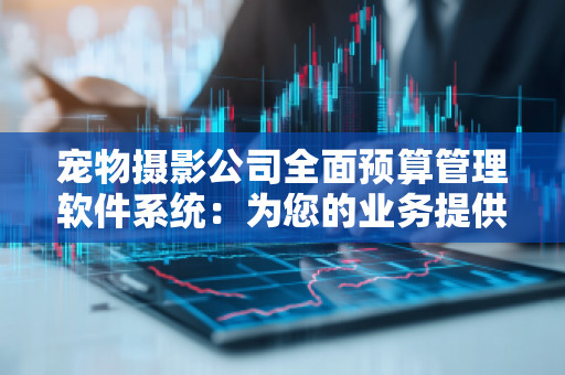 宠物摄影公司全面预算管理软件系统：为您的业务提供精准掌控与高效运营