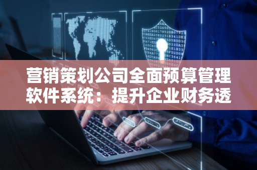 营销策划公司全面预算管理软件系统：提升企业财务透明度与效益